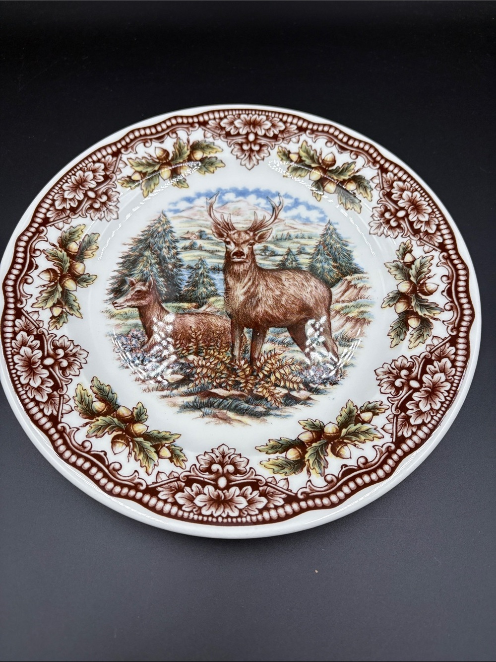 Royal Stafford Decorative Deer Woodland Plate in Brown and Green